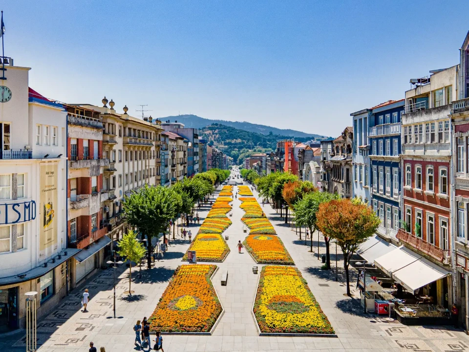 Photo of Braga for Removals Braga